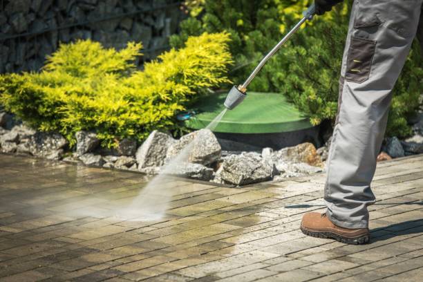 Best Gutter Cleaning  in Vineyards, FL